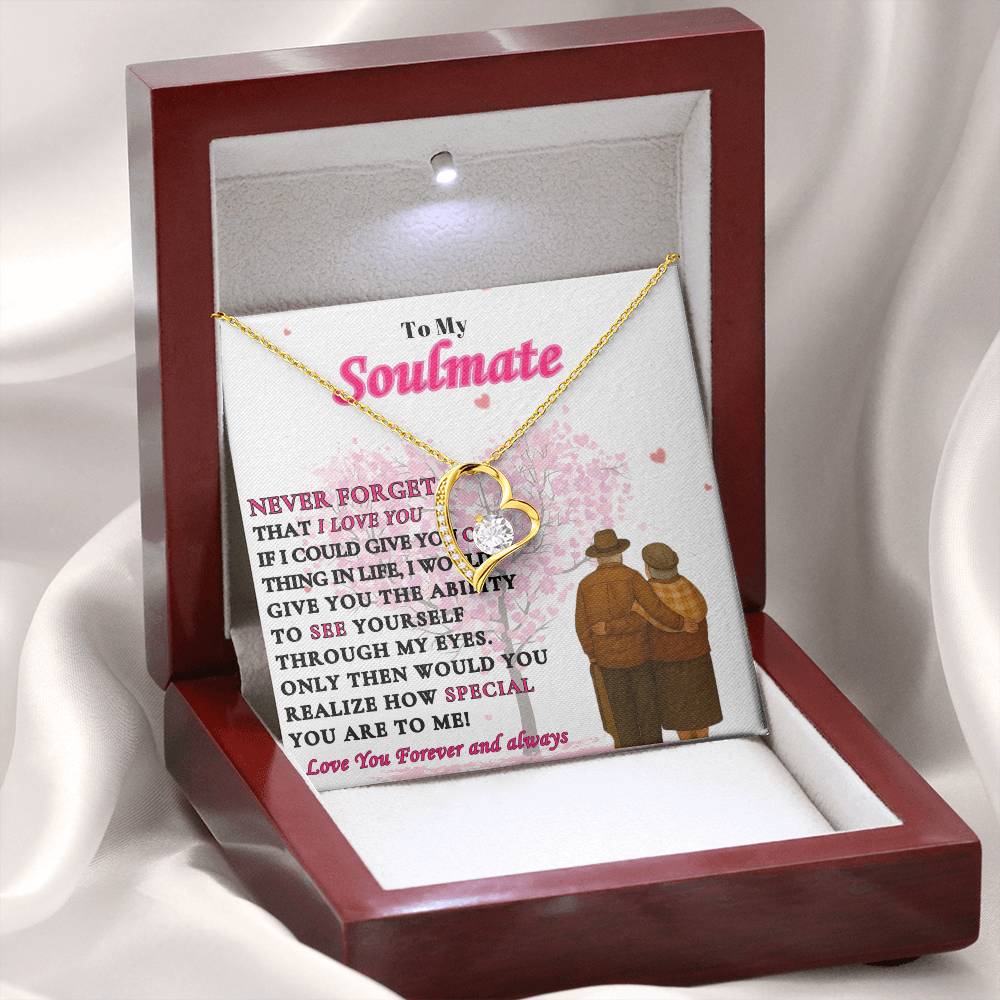 To My Soulmate -"Never Forget" Forever Love Necklace