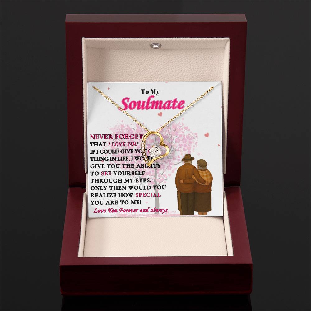 To My Soulmate  -"Never Forget"  Forever Love Necklace