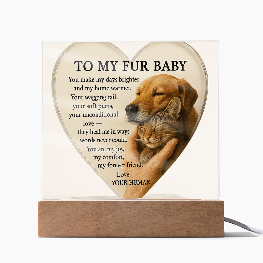 To My Fur Babys - Best Friends Forever-Acrylic Plaque! ❤️