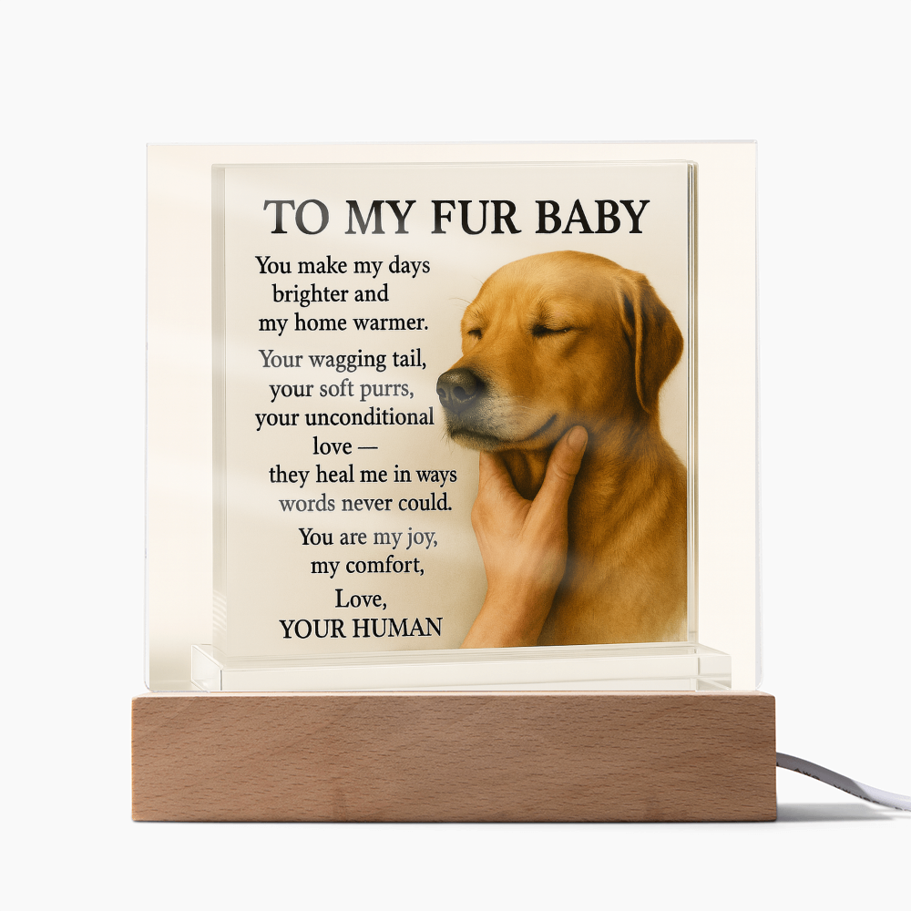 To My Golden Retriever Fur Baby-Acrylic Plaque