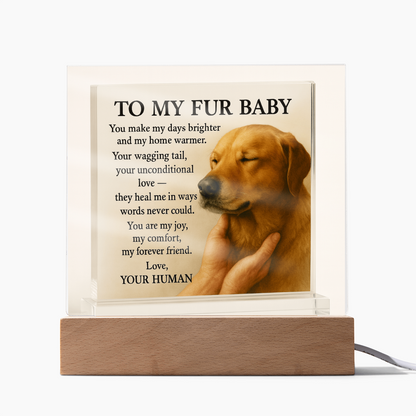 To My Beloved Dog-Your Wagging-Acrylic Plaque! ❤️