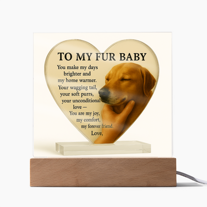 To My Fur Baby – Dog-Only Acrylic Plaque