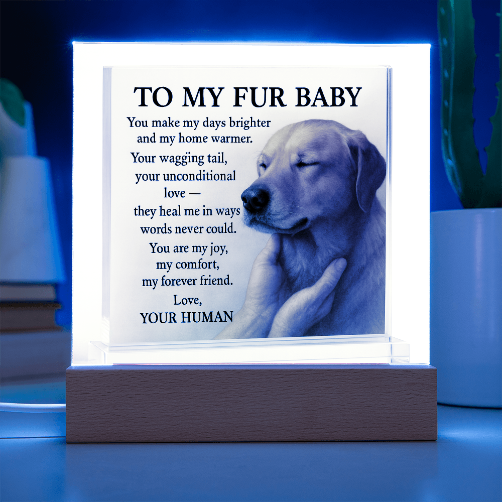 To My Beloved Dog-Your Wagging-Acrylic Plaque! ❤️