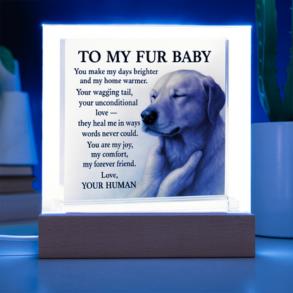 To My Beloved Dog-Your Wagging-Acrylic Plaque! ❤️