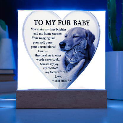 To My Fur Babys - Best Friends Forever-Acrylic Plaque! ❤️