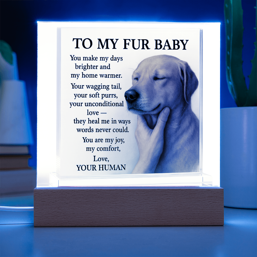 To My Golden Retriever Fur Baby-Acrylic Plaque