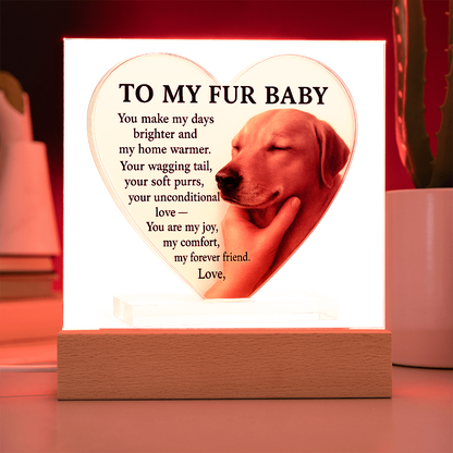 To My Fur Baby – Dog-Only Acrylic Plaque