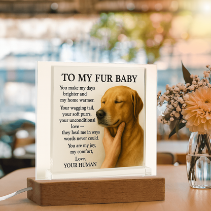 To My Golden Retriever Fur Baby-Acrylic Plaque