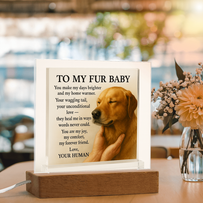To My Beloved Dog-Your Wagging-Acrylic Plaque! ❤️