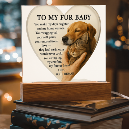 To My Fur Babys - Best Friends Forever-Acrylic Plaque! ❤️