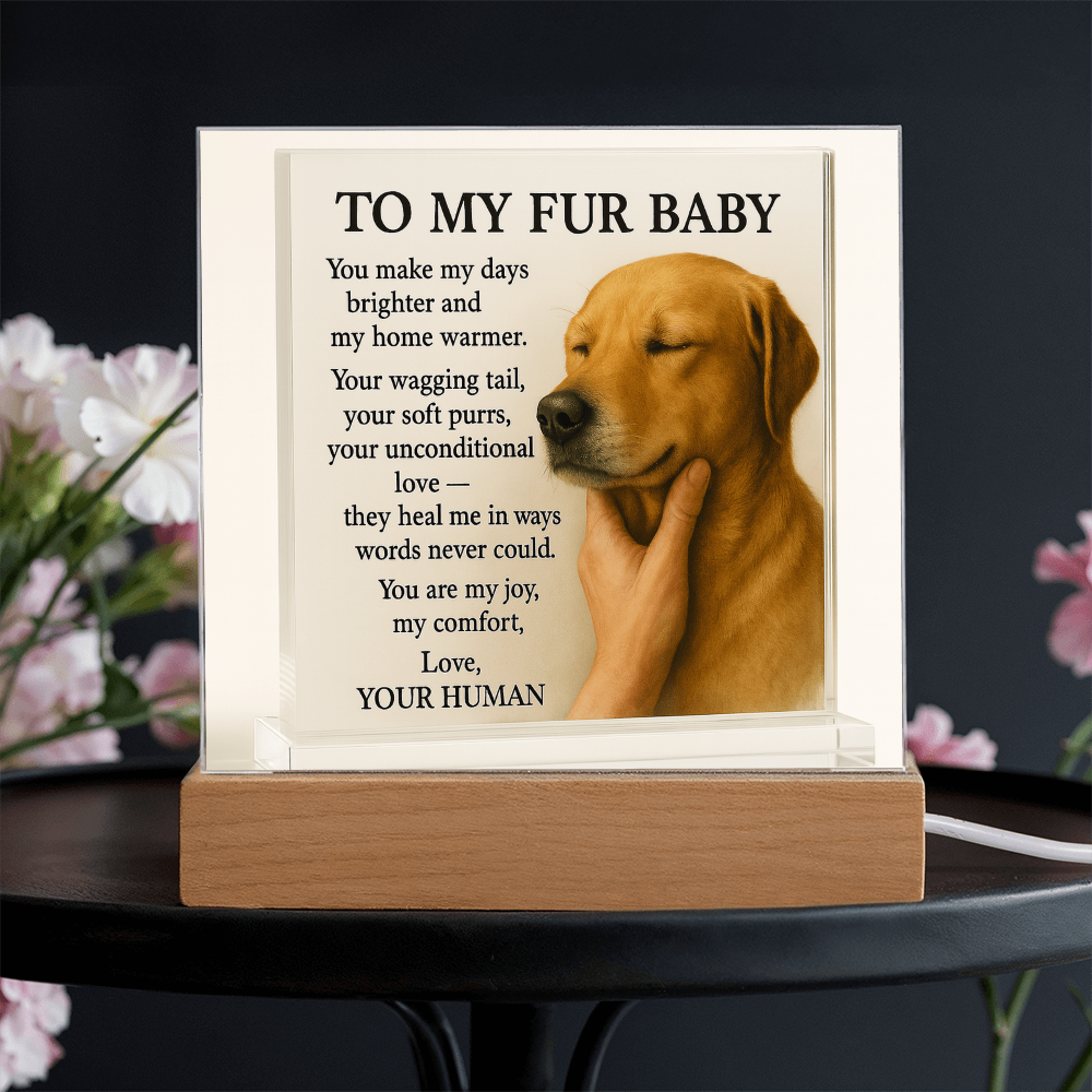 To My Golden Retriever Fur Baby-Acrylic Plaque