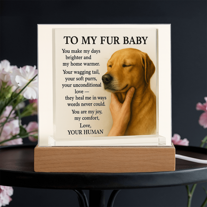 To My Golden Retriever Fur Baby-Acrylic Plaque