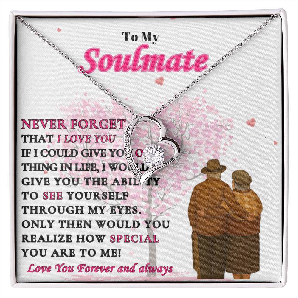 To My Soulmate  -"Never Forget"  Forever Love Necklace