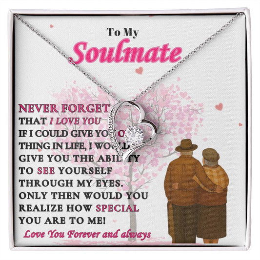 To My Soulmate  -"Never Forget"  Forever Love Necklace