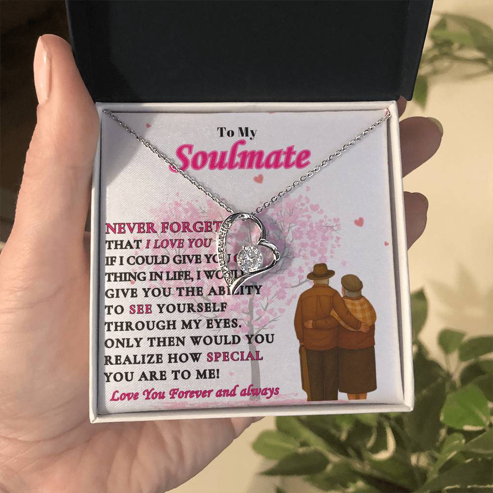To My Soulmate  -"Never Forget"  Forever Love Necklace