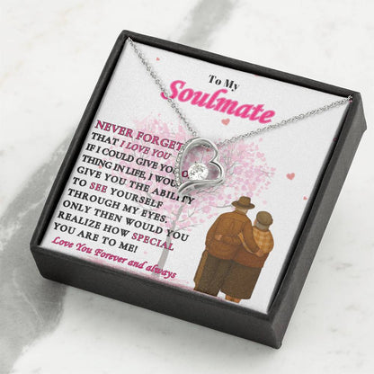 To My Soulmate  -"Never Forget"  Forever Love Necklace