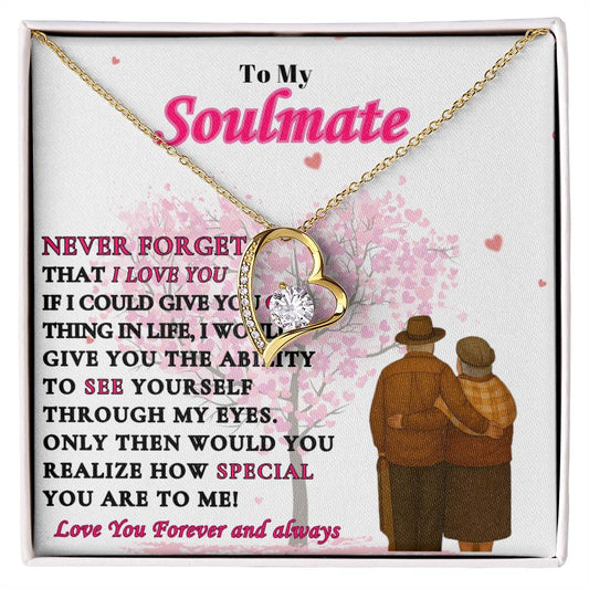To My Soulmate  -"Never Forget"  Forever Love Necklace
