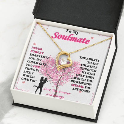 To My Soulmate - "Never Forget, I Love You" - Forever Love Necklace