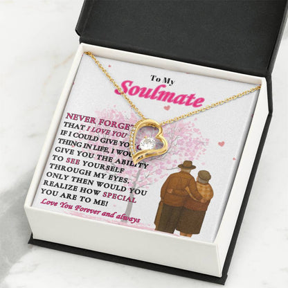 To My Soulmate  -"Never Forget"  Forever Love Necklace