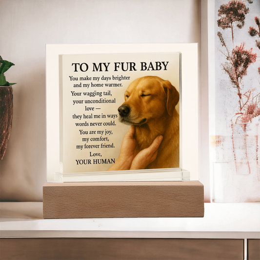 To My Beloved Dog-Your Wagging-Acrylic Plaque! ❤️
