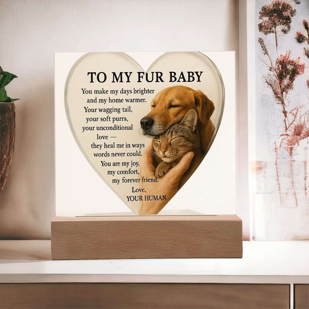 To My Fur Babys - Best Friends Forever-Acrylic Plaque! ❤️