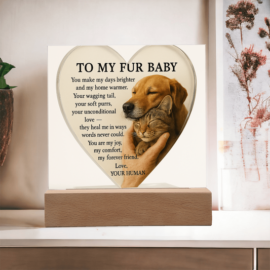 To My Fur Babys - Best Friends Forever-Acrylic Plaque! ❤️