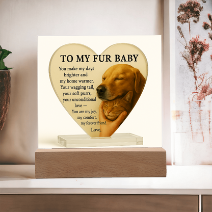 To My Fur Baby -Pet Lover's Gift!  Cat & Dog-Acrylic Plaque