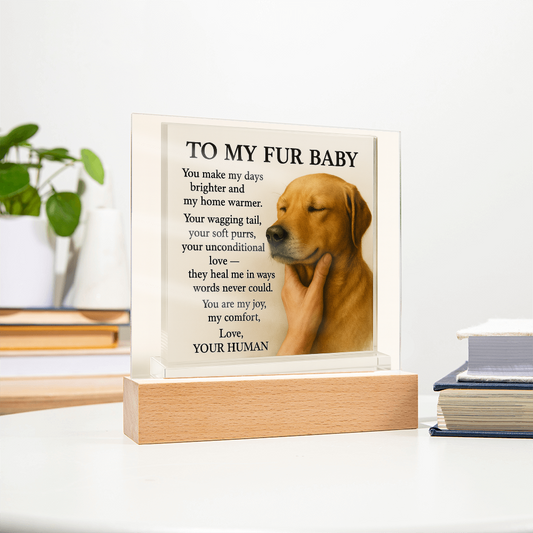 To My Golden Retriever Fur Baby-Acrylic Plaque