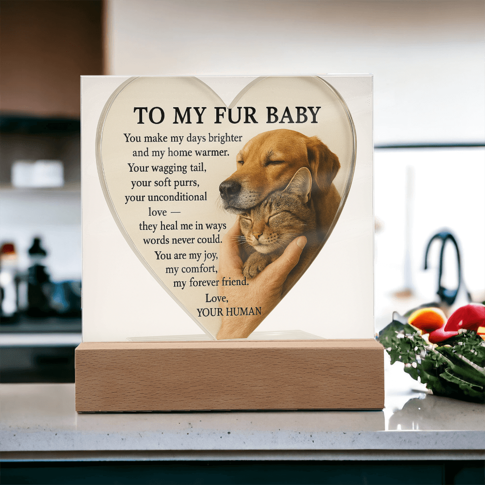 To My Fur Babys - Best Friends Forever-Acrylic Plaque! ❤️