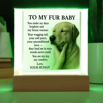 To My Golden Retriever Fur Baby-Acrylic Plaque