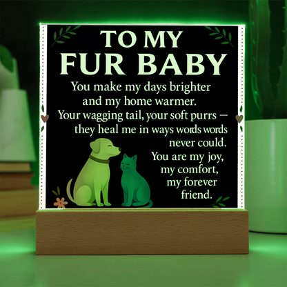 To My Fur Babys-Love You-Acrylic Plaque