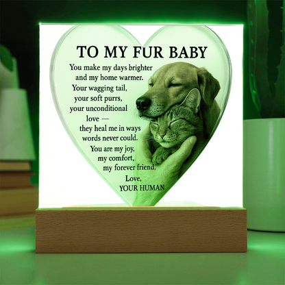 To My Fur Babys - Best Friends Forever-Acrylic Plaque! ❤️