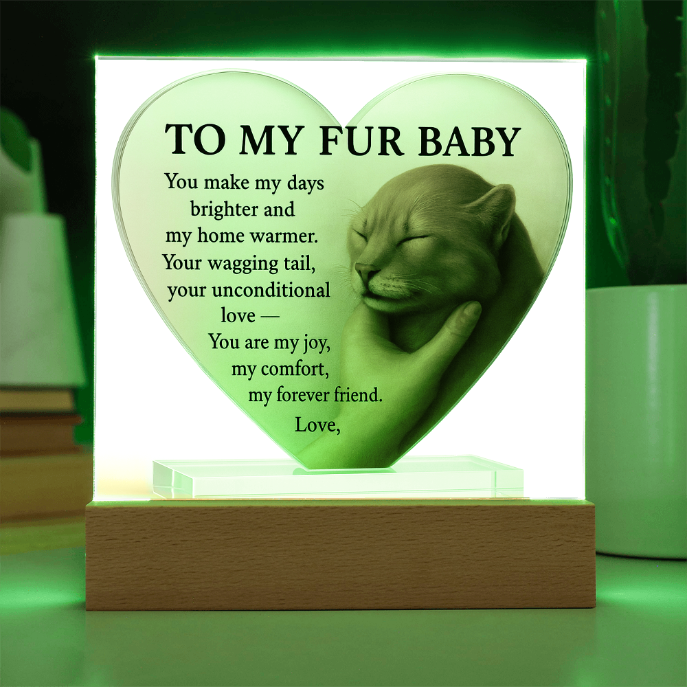 To My Beautiful Fur Baby-Love A First Meow-Acrylic Plaque