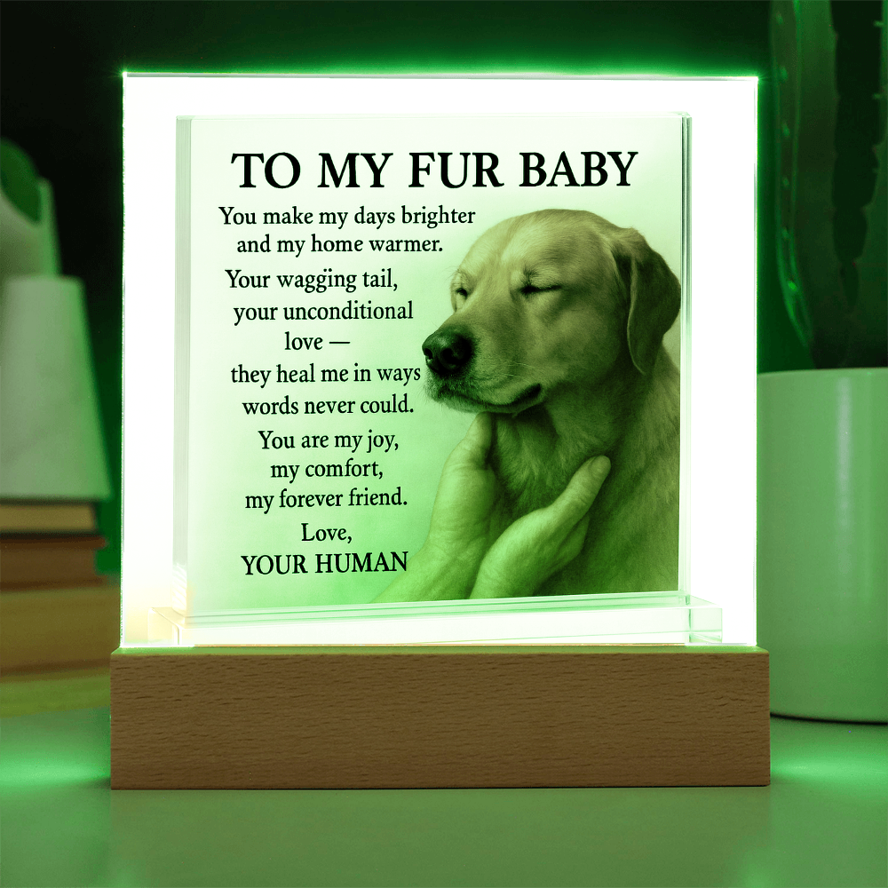 To My Beloved Dog-Your Wagging-Acrylic Plaque! ❤️