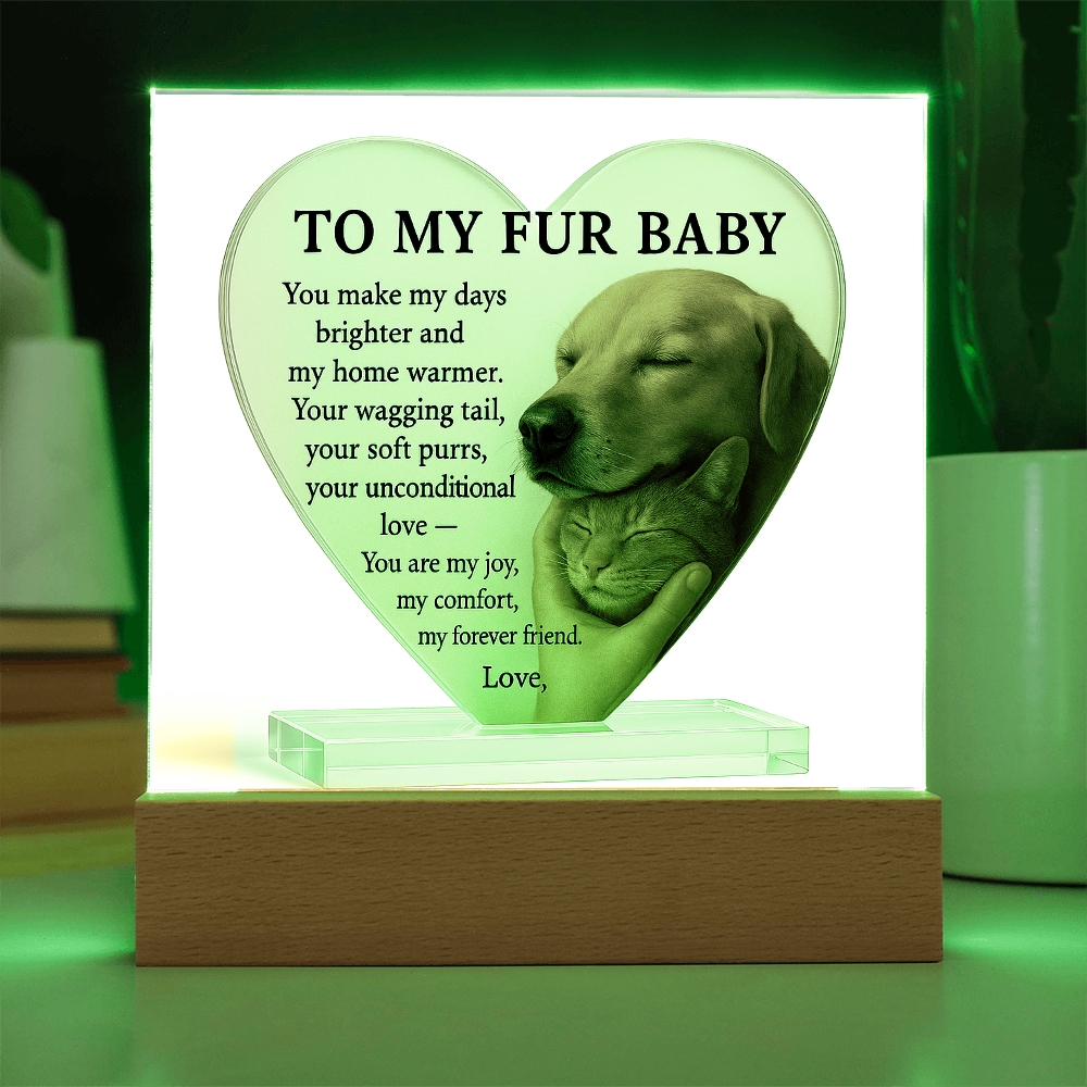 To My Fur Baby -Pet Lover's Gift!  Cat & Dog-Acrylic Plaque