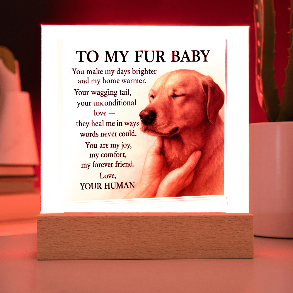 To My Beloved Dog-Your Wagging-Acrylic Plaque! ❤️