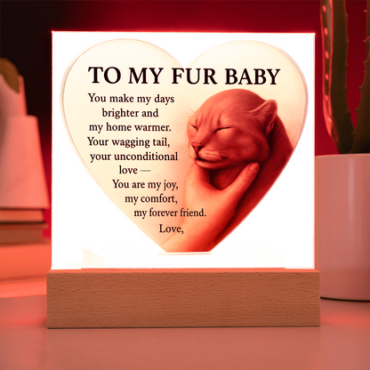 To My Beautiful Fur Baby-Love A First Meow-Acrylic Plaque
