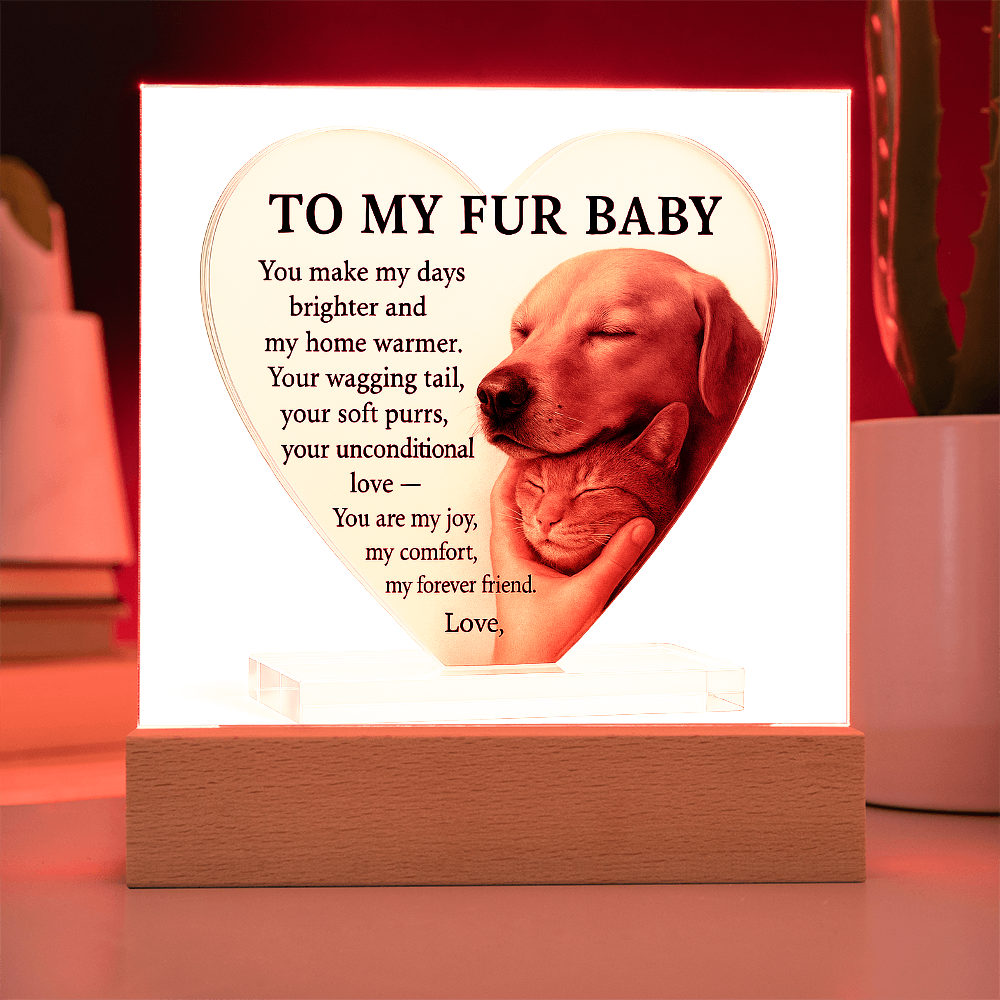 To My Fur Baby -Pet Lover's Gift!  Cat & Dog-Acrylic Plaque