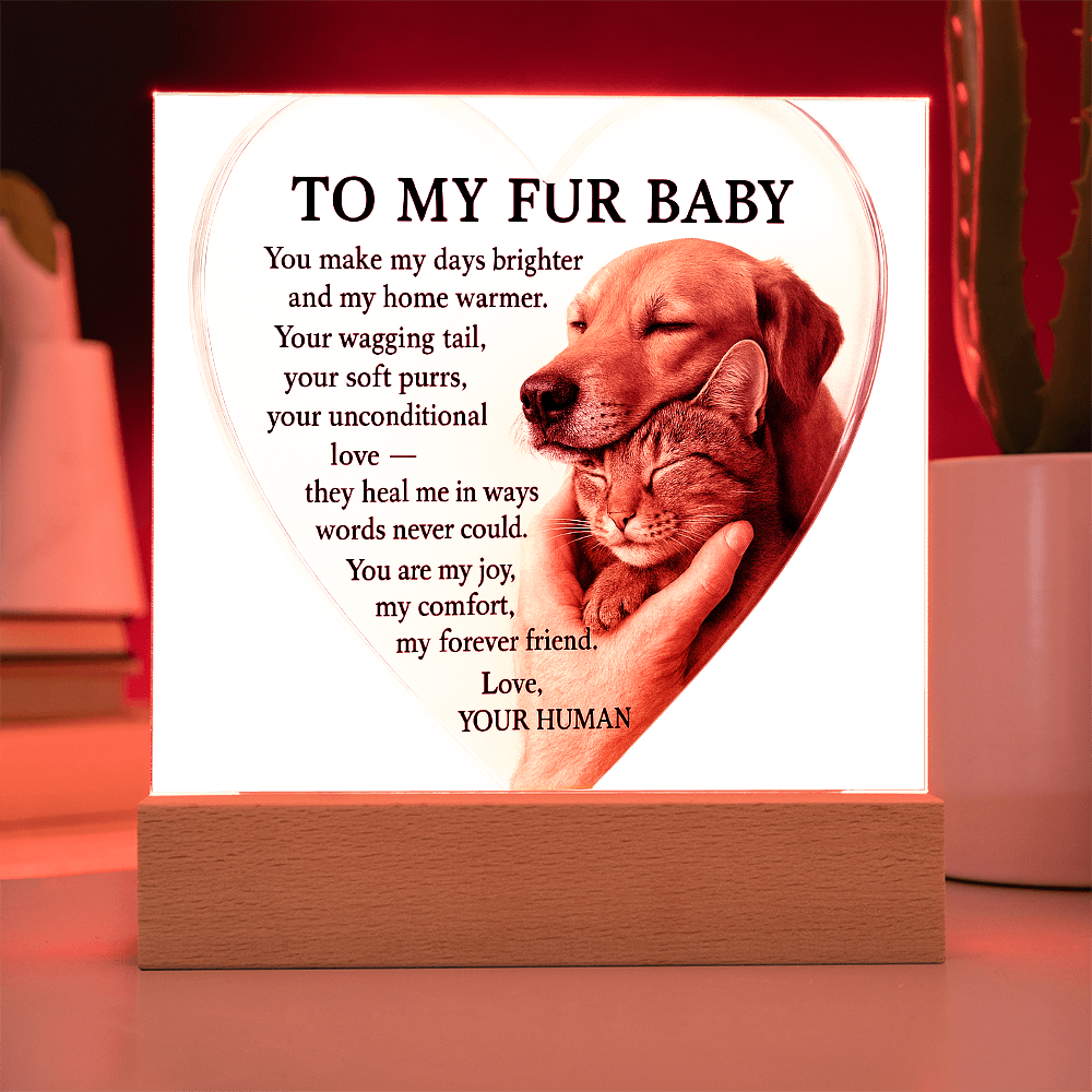 To My Fur Babys - Best Friends Forever-Acrylic Plaque! ❤️