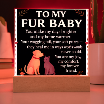To My Fur Babys-Love You-Acrylic Plaque