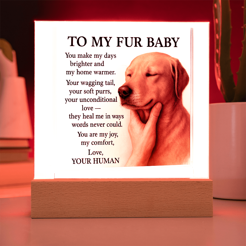 To My Golden Retriever Fur Baby-Acrylic Plaque
