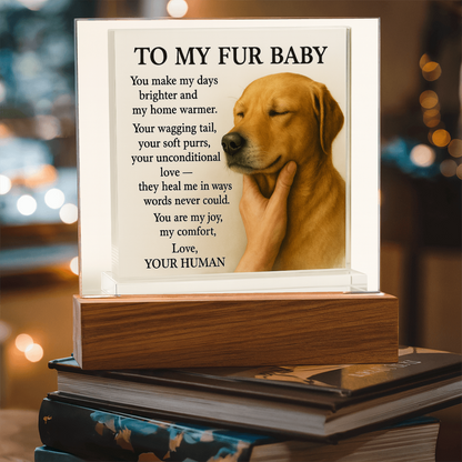 To My Golden Retriever Fur Baby-Acrylic Plaque