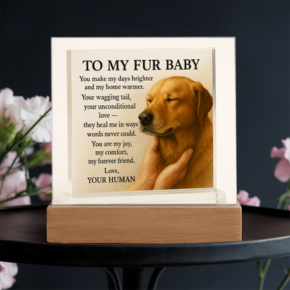 To My Beloved Dog-Your Wagging-Acrylic Plaque! ❤️